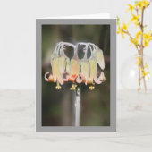 De bloem van de kroonluchter kaart (Gele Bloem)