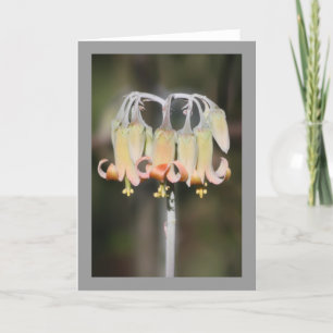 De bloem van de kroonluchter kaart