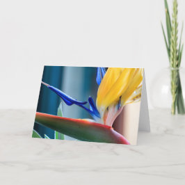 De Bloem van de paradijsvogel Feestdagen Kaart