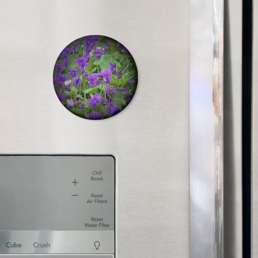 De Bloem van de staat Wisconsin: Houten Violet sch Magneet (Insitu (Koelkast))