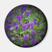 De Bloem van de staat Wisconsin: Houten Violet sch Magneet (Voorkant)