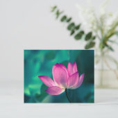 De Bloem van de Waterlelie van Lotus Briefkaart (Staand voorkant)