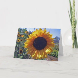 De bloem van de ZON Kaart