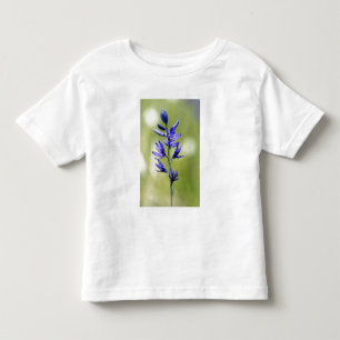 De bloem van een camas lelie in Valley County, Kinder Shirts