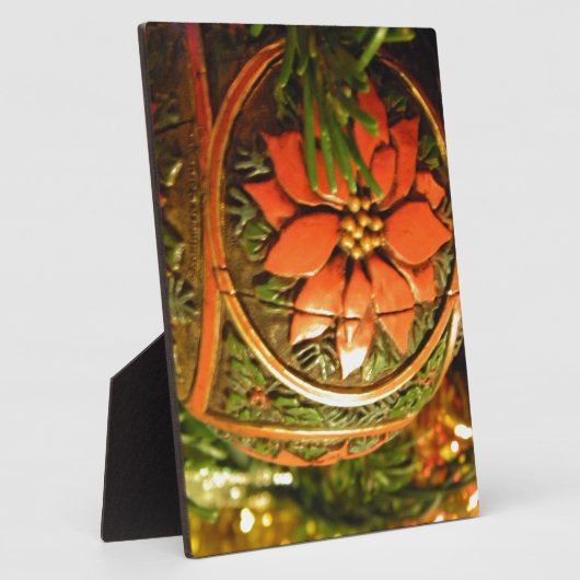 De Bloem van Kerstmis Fotoplaat (Zijkant)