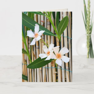 De bloem van Vinca op bamboeomheining Kaart