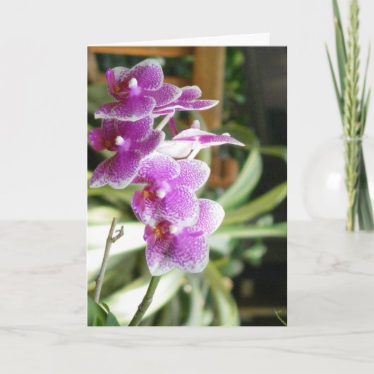 de bloemart. van het orchideewenskaart kaart (Voorkant)