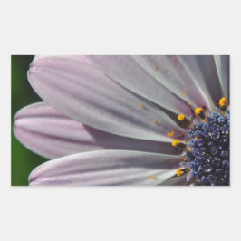 De bloemen binnen rechthoekige sticker