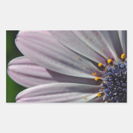 De bloemen binnen rechthoekige sticker (Voorkant)