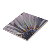 De bloemen binnen tegeltje (Zijkant)