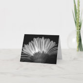 De bloemen Kaart van de Nota van Zilveren Gerbera (Voorkant)