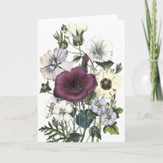 De bloemen Kaart van Gelukwensen (Voorkant)