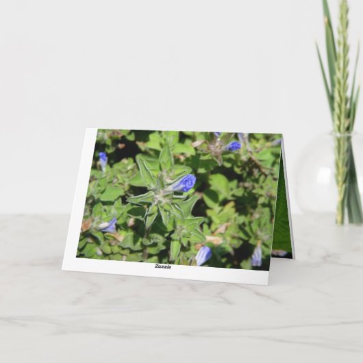 De bloemen Kaart van het Moederdag (Achterkant)