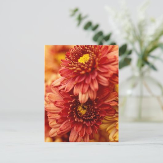De Bloemen van de Chrysant van de herfst - Rood en Briefkaart (Staand voorkant)