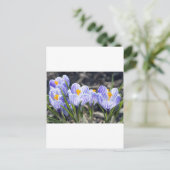 De Bloemen van de krokus Briefkaart (Staand voorkant)