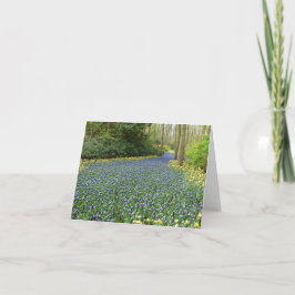De bloemen van de lente - Rivier van Hyacinten Kaart
