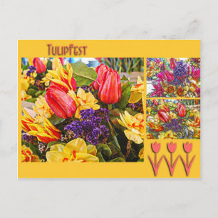 De Bloemen van de Lente van het Briefkaart van de