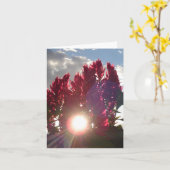 De Bloemen van de Vlam van de zonsondergang - Kaart (Gele Bloem)