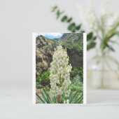 De bloemen van de yucca in de Azoren Briefkaart (Staand voorkant)