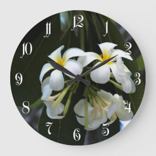 De bloemen van Frangipani Grote Klok