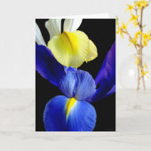De Bloemen van het blauw & van het Gele lis 4b Kaart (Gele Bloem)