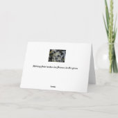 De bloemen van het ijs kaart (Achterkant)