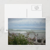 De Bloemen van het strand Briefkaart (Voorkant / Achterkant)