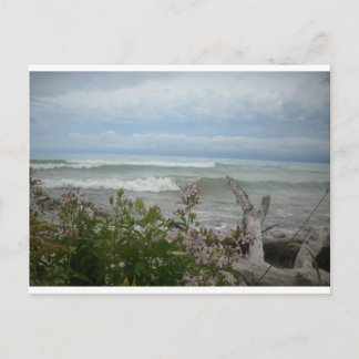 De Bloemen van het strand Briefkaart