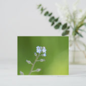 De Bloemen van het vergeet-mij-nietje Briefkaart (Staand voorkant)