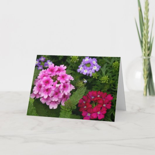 De Bloemen van Notecard Kaart (Voorkant)