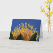 De bloemkaart van Protea Kaart (Gele Bloem)