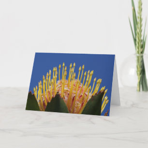 De bloemkaart van Protea Kaart