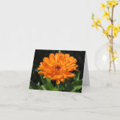 De bloemwenskaart van Calendula Kaart (Gele Bloem)
