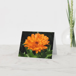 De bloemwenskaart van Calendula Kaart