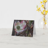 De Bloesem Notecard van de kornoelje Kaart (Gele Bloem)