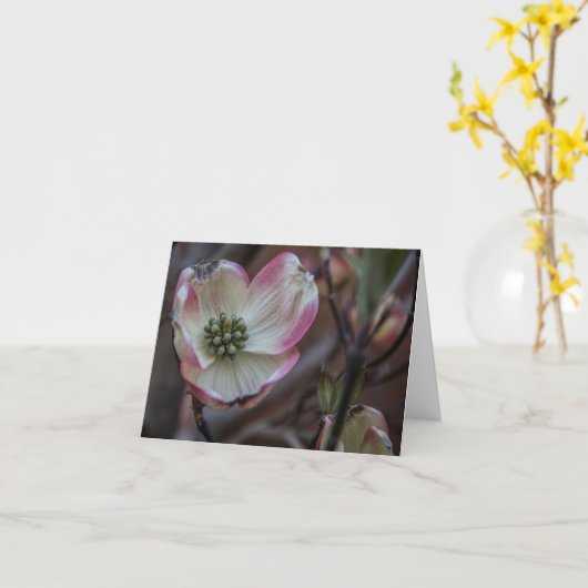 De Bloesem Notecard van de kornoelje Kaart (Gele Bloem)