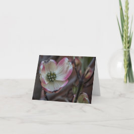 De Bloesem Notecard van de kornoelje Kaart