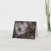 De Bloesem Notecard van de kornoelje Kaart (Voorkant)