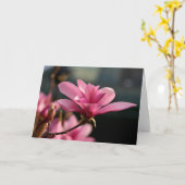 De Bloesem Notecard van de magnolia Kaart (Gele Bloem)