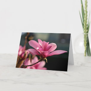 De Bloesem Notecard van de magnolia Kaart