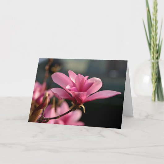 De Bloesem Notecard van de magnolia Kaart (Voorkant)