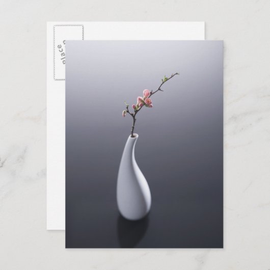 De bloesem van de kers in vaas briefkaart (Voorkant / Achterkant)