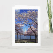 De bloesem van de kers in Washington DC Kaart (Achterkant)