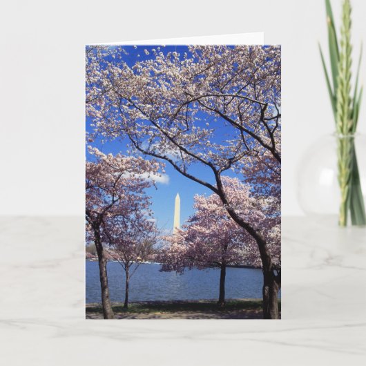 De bloesem van de kers in Washington DC Kaart (Voorkant)
