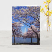 De bloesem van de kers in Washington DC Kaart (Gele Bloem)
