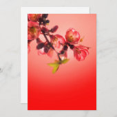 De bloesem van de lente over rode achtergrond feestdagenkaart (Voorkant / Achterkant)