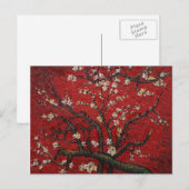 De Bloesem Vincent van Gogh van de amandel Briefkaart (Voorkant / Achterkant)