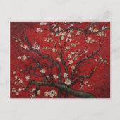 De Bloesem Vincent van Gogh van de amandel Briefkaart (Voorkant)