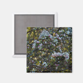 De Bloesems van Apple Magneet (Voorkant / Achterkant)