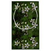 De Bloesems van Blackberry Klein Cadeauzakje (Achterkant)